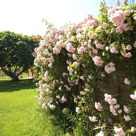 Country house El Mirador Ovio Llanes